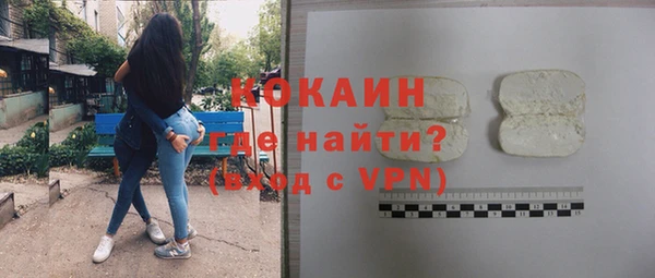 гашик Белокуриха