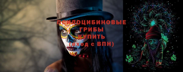 гашик Белокуриха