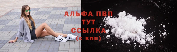 гашик Белокуриха