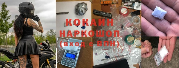гашик Белокуриха
