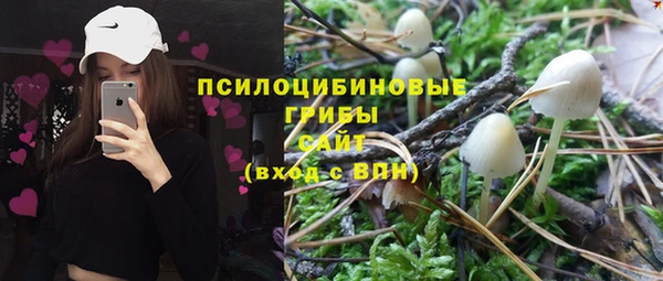 гашик Белокуриха